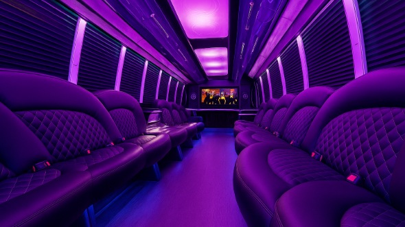 28 passenger party bus interior
