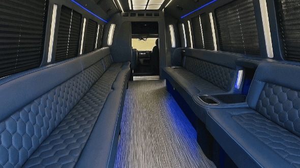 anaheim 30 passenger party bus interior