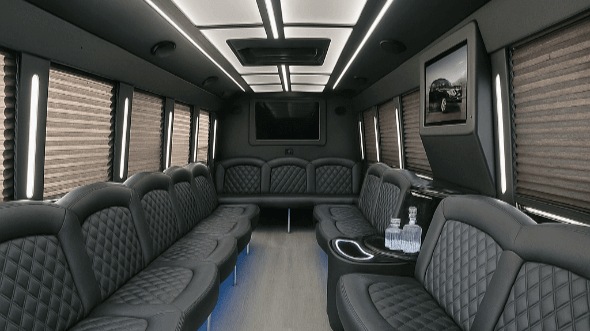anaheim 30 passenger party bus rental